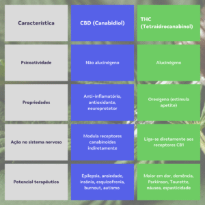 beneficios cbd e thc